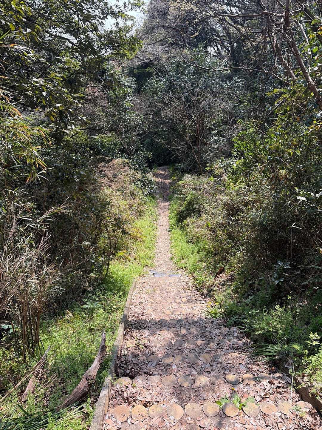 目の前の階段を⤵️⤵️
お墓の右手そのまま進んでも称名寺に着きます