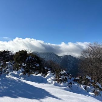 素晴らしい景色です