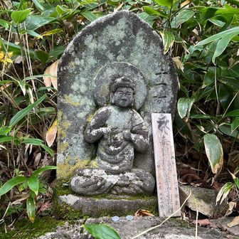 ⑪阿閦如来
「わしは、『あしゅく』。知ってた？
揺るぎない気持ちを持って行け！」
