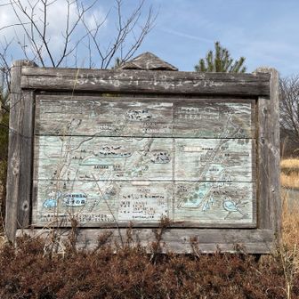 全く見えません