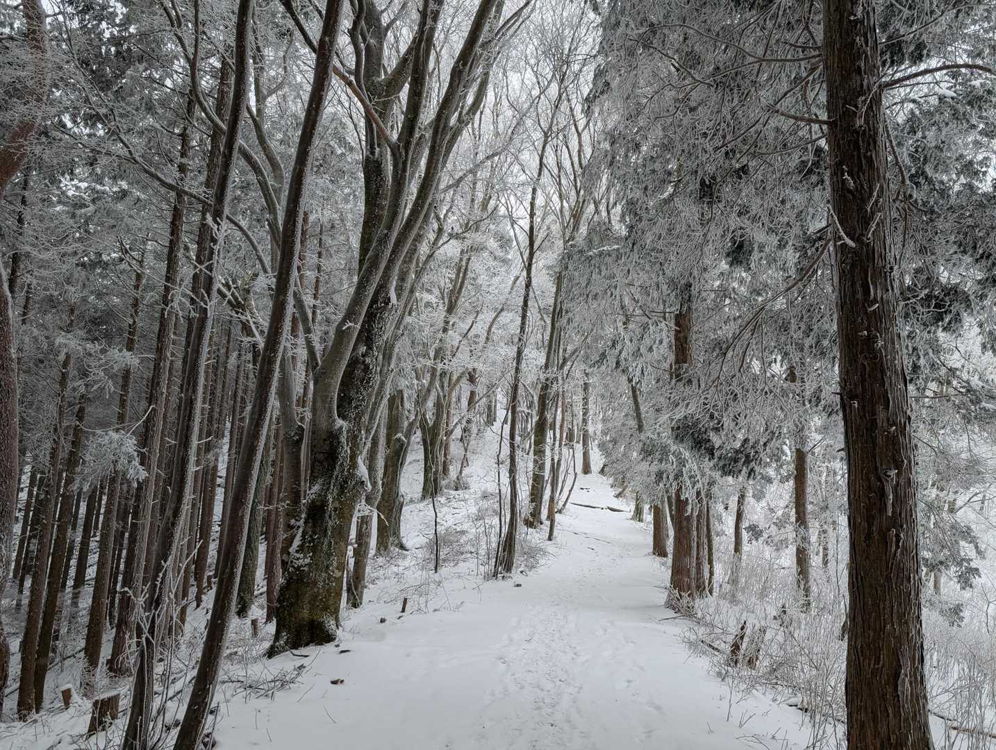 帰ります👣