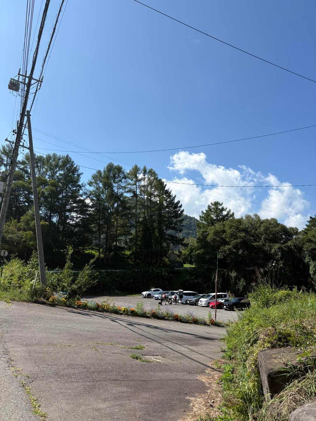 三城いこいの広場駐車場より。
本日は成長した我々を確認するべく、下から登る事としました。
途中からアルプス展望コースへ合流し、当時を思い出す計画です。