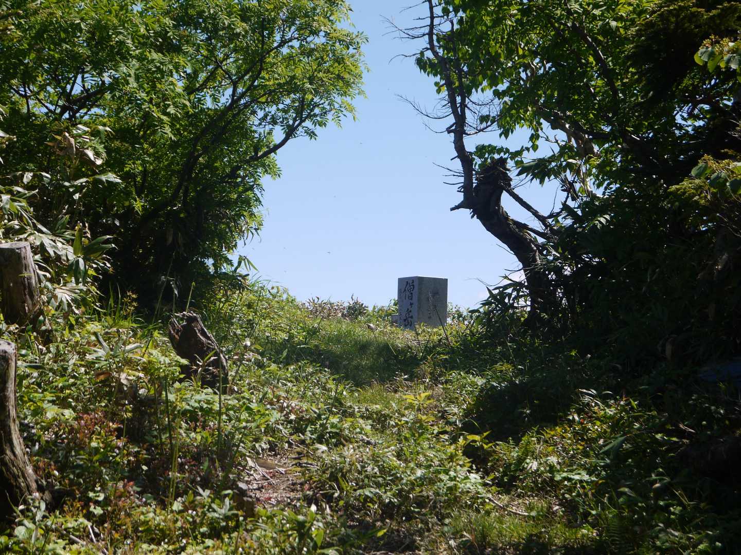 僧ヶ岳到着