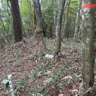 鼻神山（580m）
四等三角点（本櫛山）
ピーク感が薄く勢い余って通り過ぎてしまいます。
※ちなみに本串山にも本櫛山の三角点あります。

地面に置かれてるのが山頂標識でほぼ文字が消えて全く仕事をされてません。