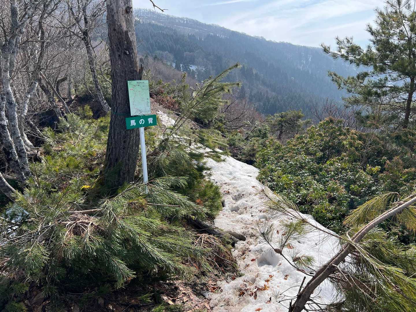 馬の背-蘇武岳 往復コースの写真