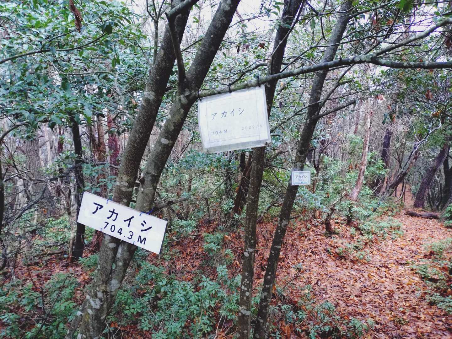 アカイシ 往復コースの写真