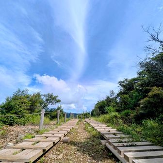 三ノ塔の先の山道✨️
気温🌡️23℃で涼しいような…日が当たって暑いような…

けど、気持ちが良いぃ🎶

来てよかった🤣✨️