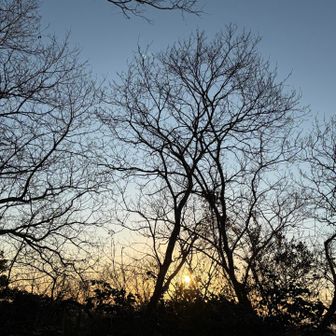 うんうん♪
楽しかった～☆
ちょっとだけ太陽が見え初めました♪

下山の階段が渋滞して進まないので、いこいの小路から降りる事にしました。