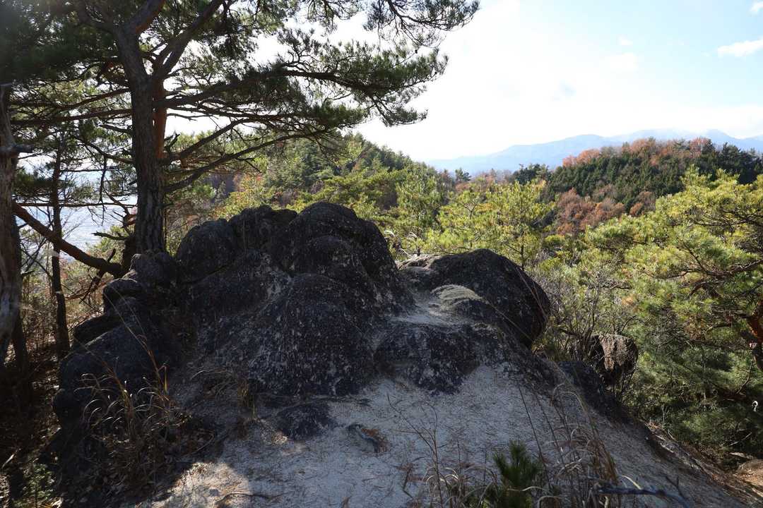 先の八王子山などと地質は似ているよう