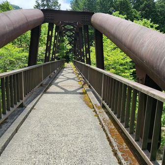 ユーシンロッジ裏の檜洞丸方面への橋
登山道は通行止だそうです

一応ヒル対策は万全にしてきましたが、塔ノ岳から降りてこられた方はココに来るまでに2ヶ所ヒルにイカれたそうです
