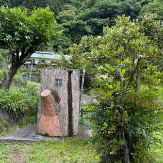 大きな切り株みたいなかわいいトイレ