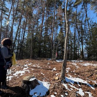 むむ🤨 こんな立派な名前なのに、山名標識見当たらず…でもMAPでは、ここらしいので！
御殿山 884m 登頂～🙌🏻
眺望イマイチなので、少し降った所にある…