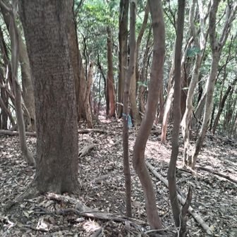 一番遠い小藤ヶ熊へ