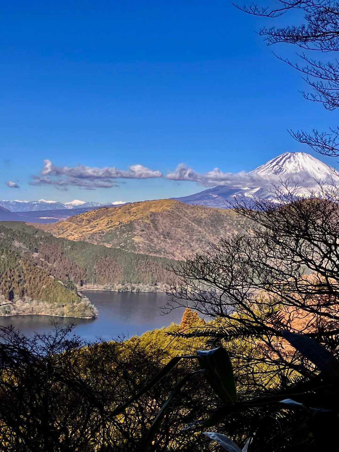 木々の隙間から…
芦ノ湖、富士山、南アルプス🗻