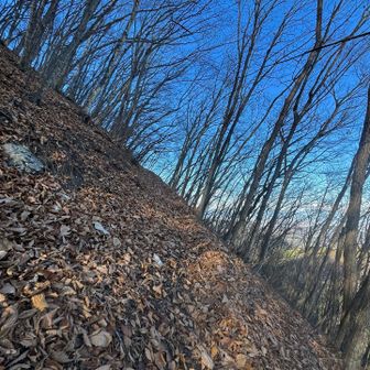 やはり。

斜めに傾いた幅狭なトラバースに大量の落ち葉

スリップ＆ヒヤリの連続でした