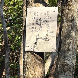 YAMAPにはない道が色々ある模様