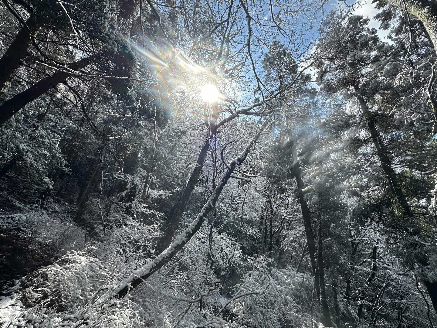 予想外の雪景色にテンションが上がる😆