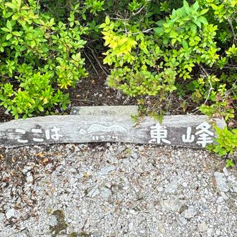 東峰到着
え？ここ？