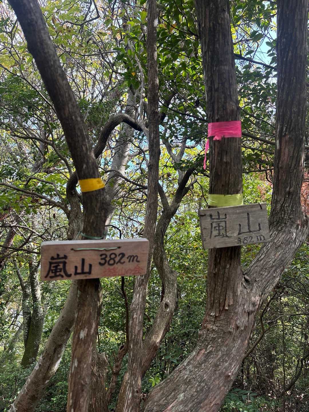嵐山山頂⛰️