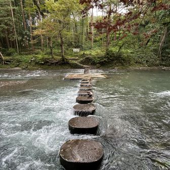 ドレミファ橋。
飛び石の橋。石の上に勢いのある水が流れてる。
普段はもっともっと静かなはず。