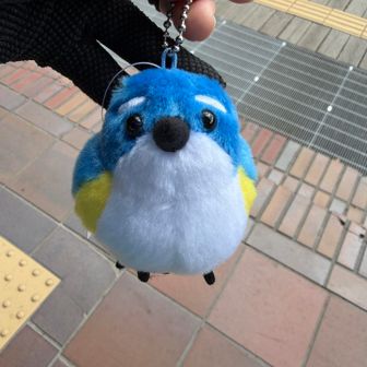 念願のルリビタキくん、買いました💕　可愛い〜😍