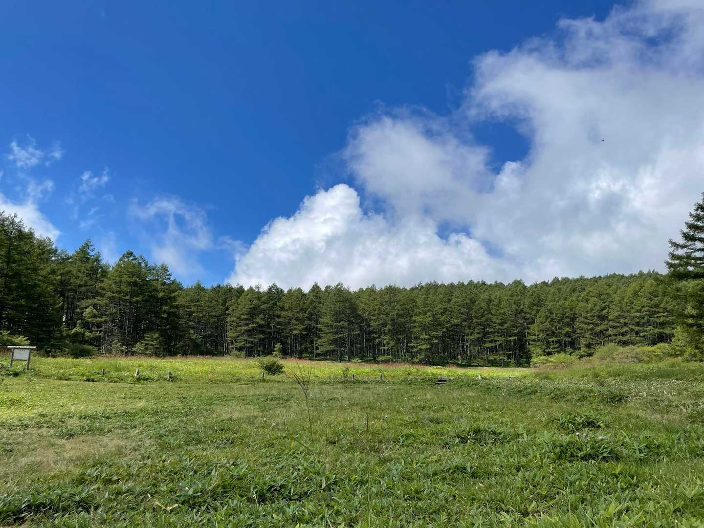 地蔵峠-湯ノ丸山-烏帽子岳登山口 縦走コースの写真