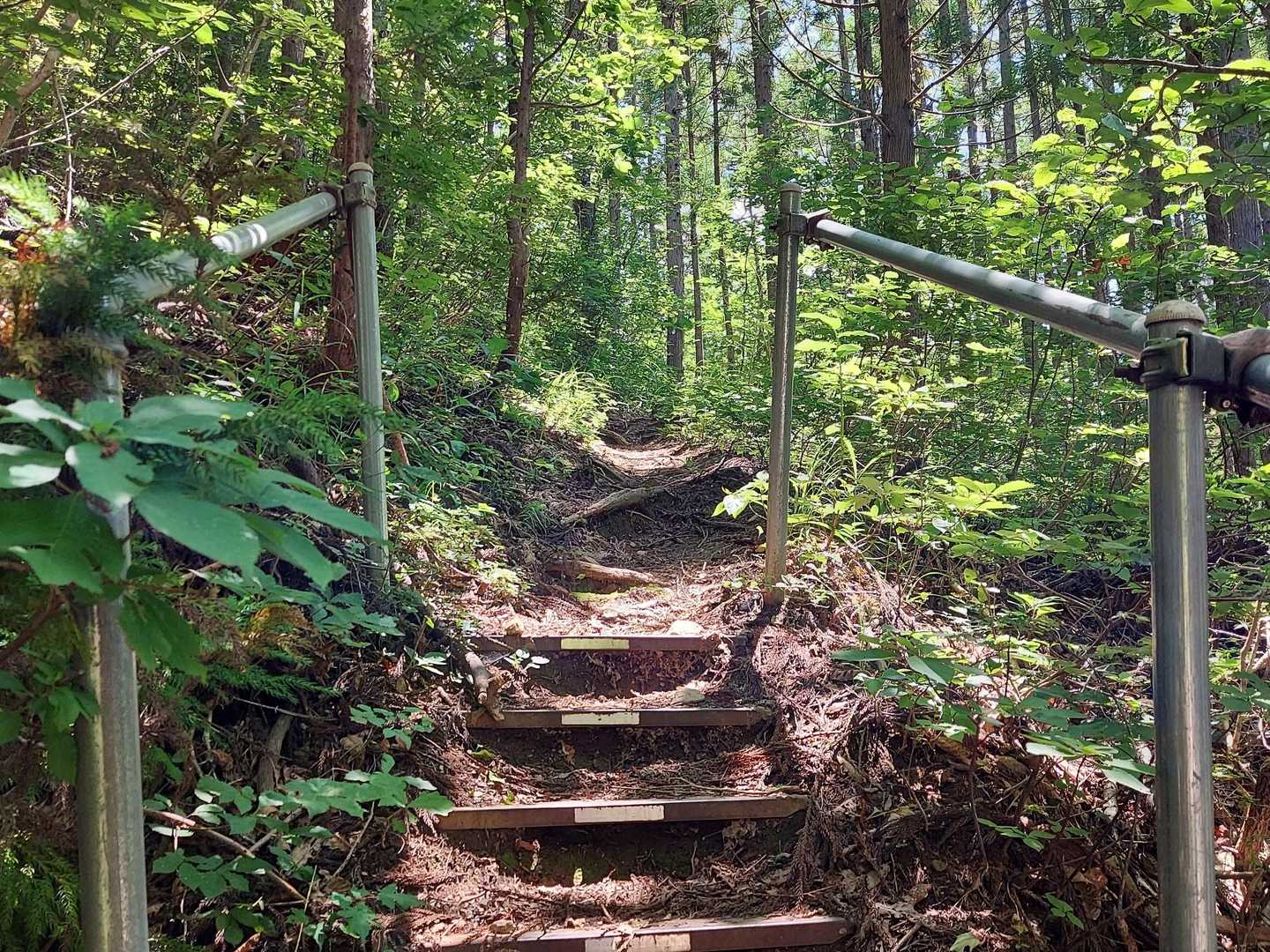 ここから入山