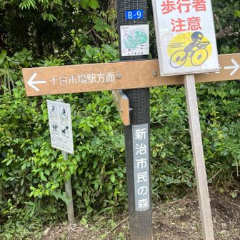 せっかくなので丸山に寄ることにしました
