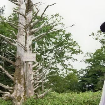 天狗棚山山頂。ハレーション起こしてる。家帰ってきてから見てみたら手動調整モードに切り替わっていることが分かった。なんか押しているのだろうか？