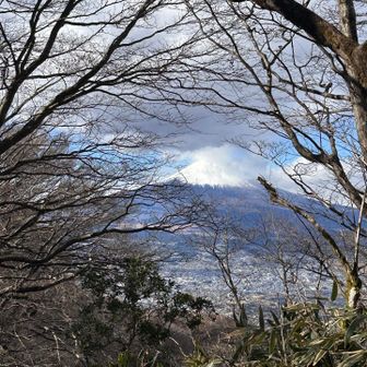 長尾山に向かう下山ルートでもたびたび富士山が見えるのが良いですね🥰