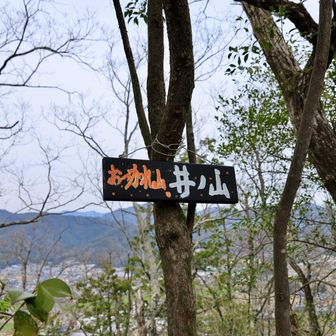 最後に井ノ山。