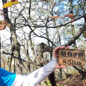 ルートから逸れてピークハント
③割谷ノ頭