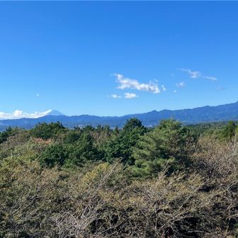 展望台より富士山&奥多摩