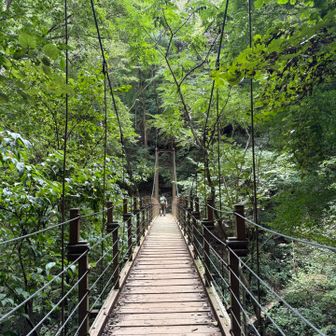 吊り橋は遠足に良さそう
山歩き、好きになってくれたらうれしい…💕