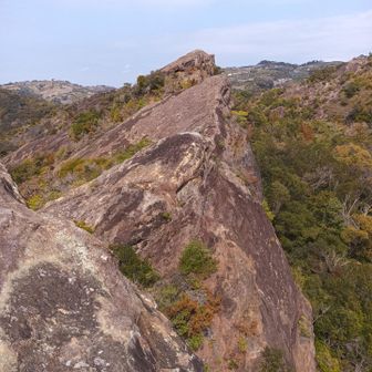 田辺市・高尾山・龍神山・奇絶峡 三匹のヒキガエル。ひき岩群の名前の由来ですね。