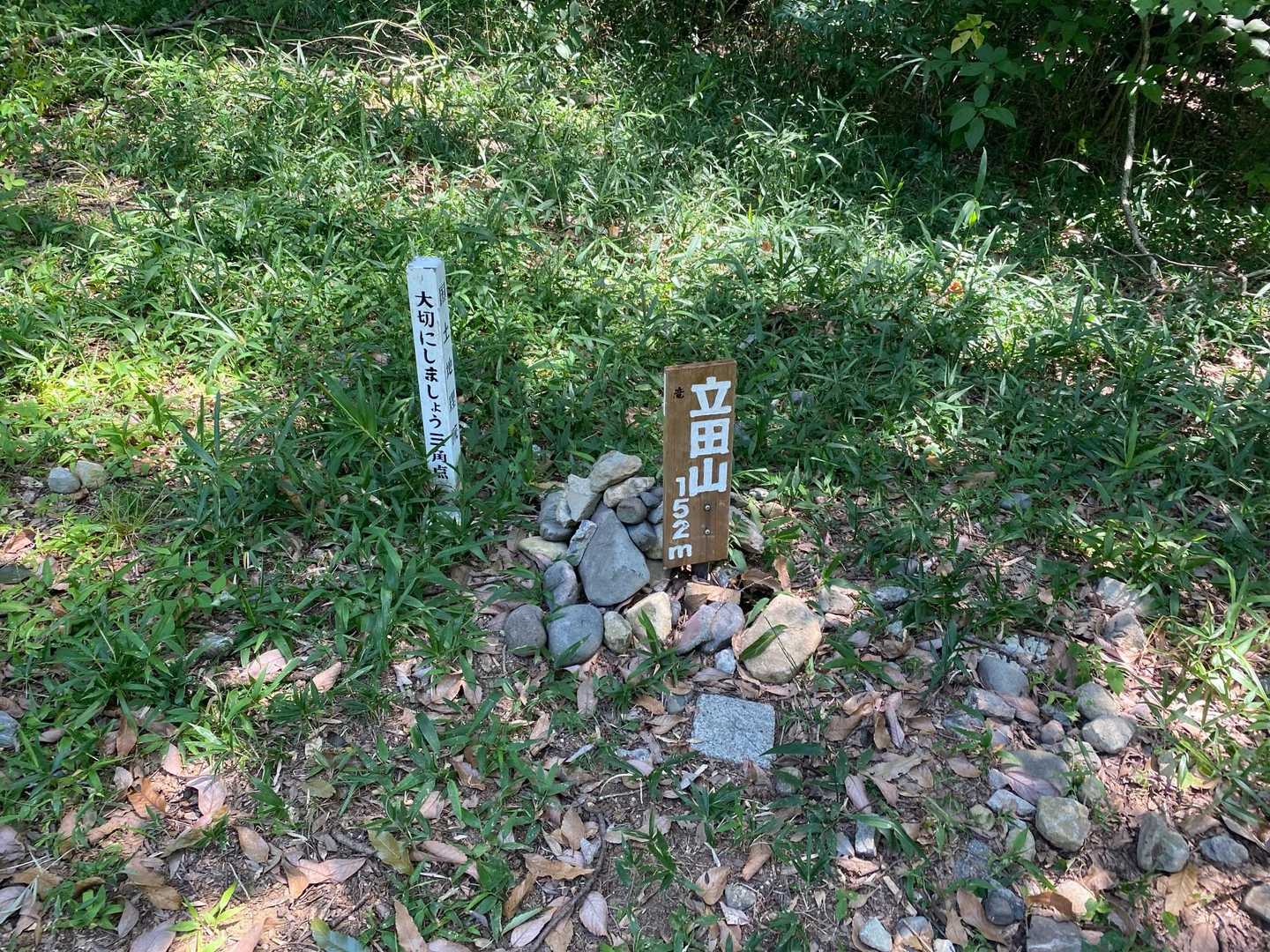 立田山 往復コースの写真