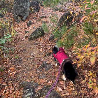 久しぶりの登山