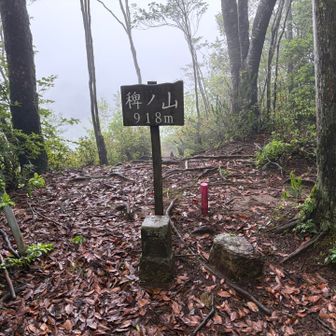 稗ノ山に到着
ガスが出ていて、何も見えません😭