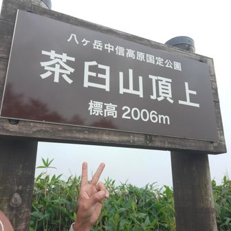 バスは16時なのでまだ行ける