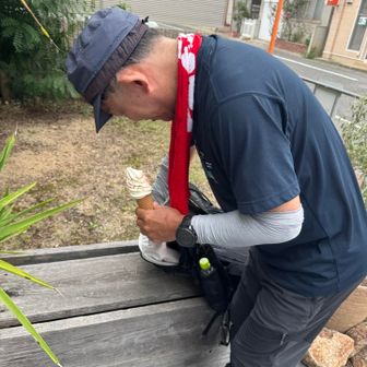 もちろん兄貴はソフトクリーム