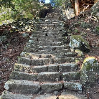 男坂は、ほぼほぼ石段🪨