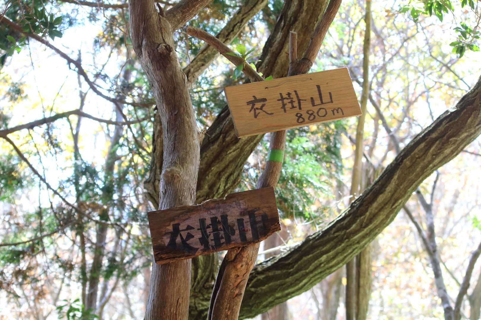 衣掛山最高点