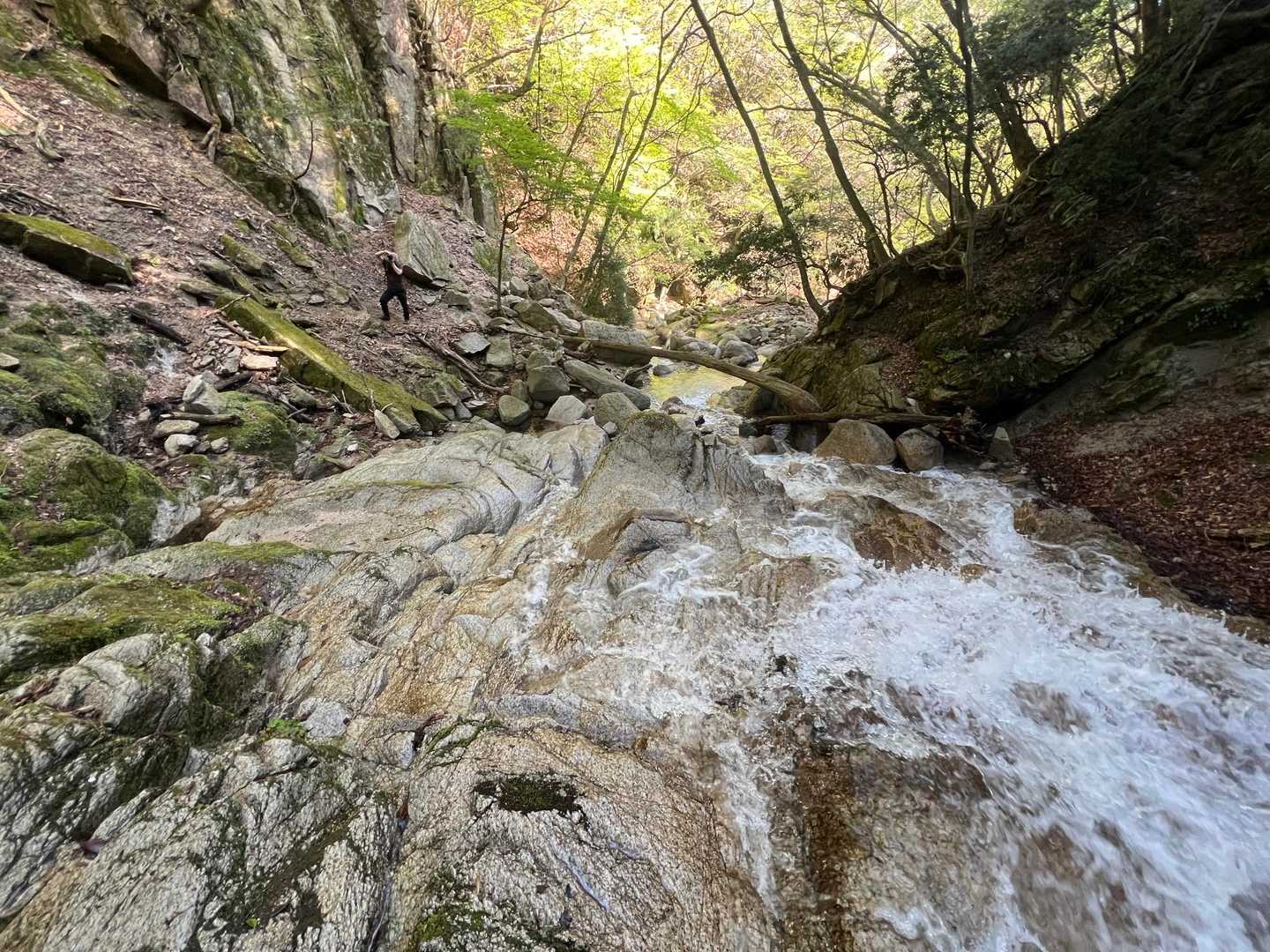 私の方からの目線
コケたら大変💦