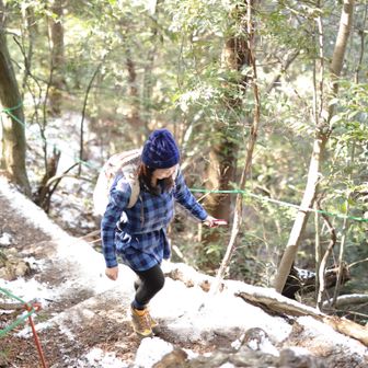 ぷちまに（社畜の連勤術師）