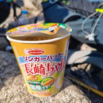 大阪から遠征に来てたエネルギーに満ち溢れた素敵なお姉さんと話したり、山頂には1時間も居てしまった😿