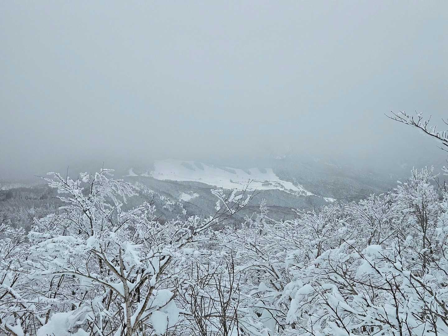 スキー場、見えてからが長かった～