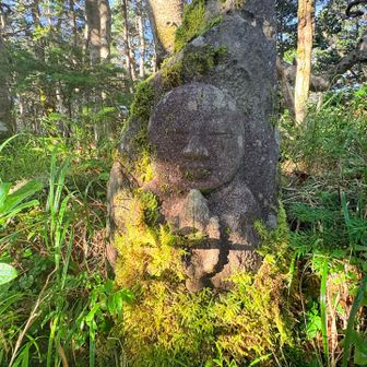 ありがとうございました😃