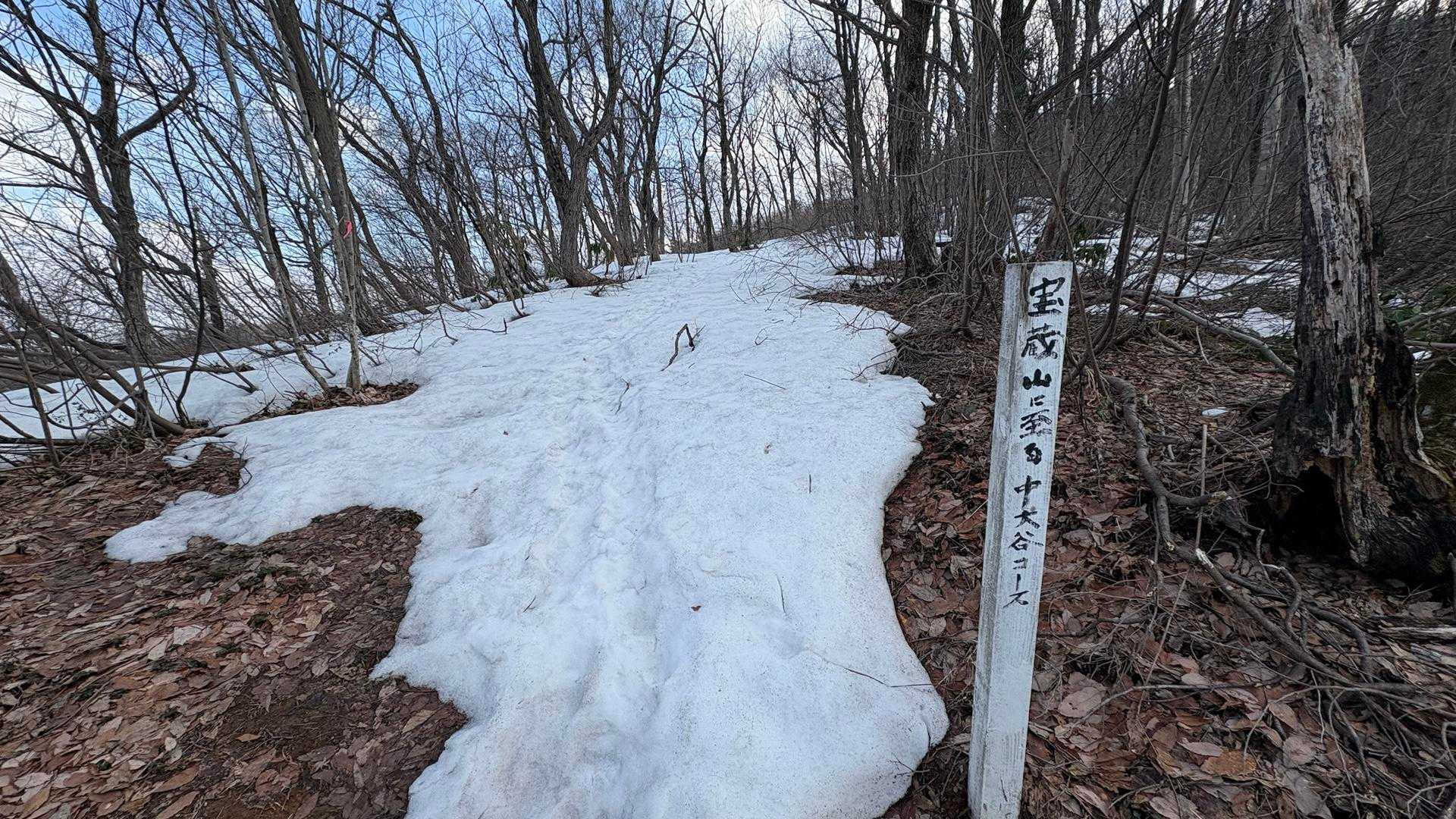 中大谷コース…
柿の木平コース…
どっち？