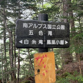 励ましてくれるのは嬉しいけどちょっと怖い