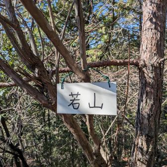 若山山頂到着〜
看板がシンプル過ぎる